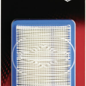 Luftfilter, Waffelfilter, Briggs & Stratton