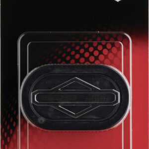 Luftfilter 992374, Briggs & Stratton